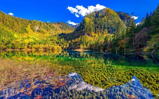 中国十大最美湖泊排行榜，茶卡盐湖、阿尔山火山湖都美如仙境