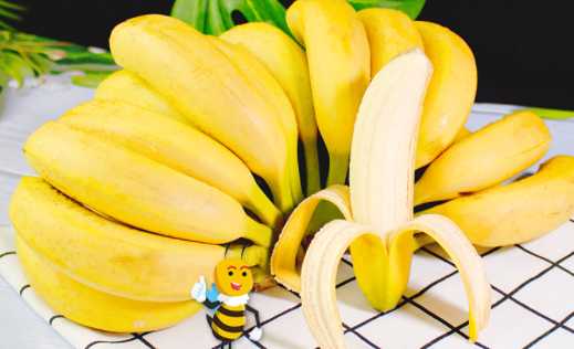 香蕉可以放冰箱保鲜吗 香蕉是性热还是性凉