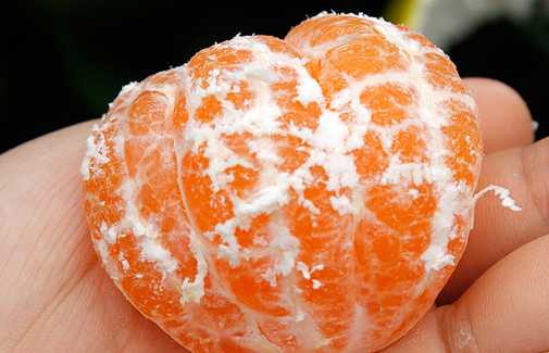 橘子吃多了会上火吗 橘子皮可以去除异味吗