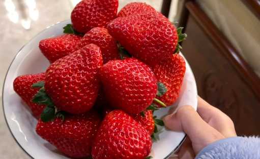 冬天草莓放一晚上会坏吗 冬天草莓怎么保鲜不会烂