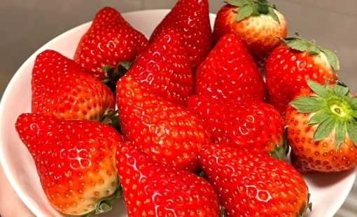 冬天草莓放一晚上会坏吗 冬天草莓怎么保鲜不会烂